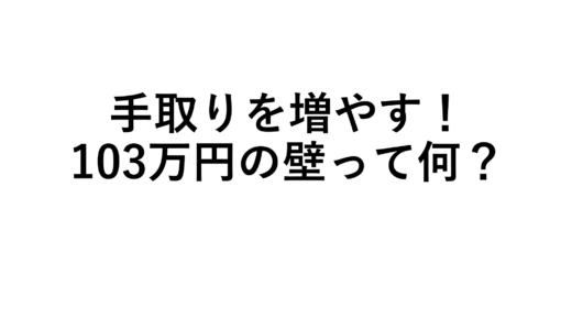 国民民主党が主張する103万円の壁の撤廃の意味～学生と主婦で全然違います～